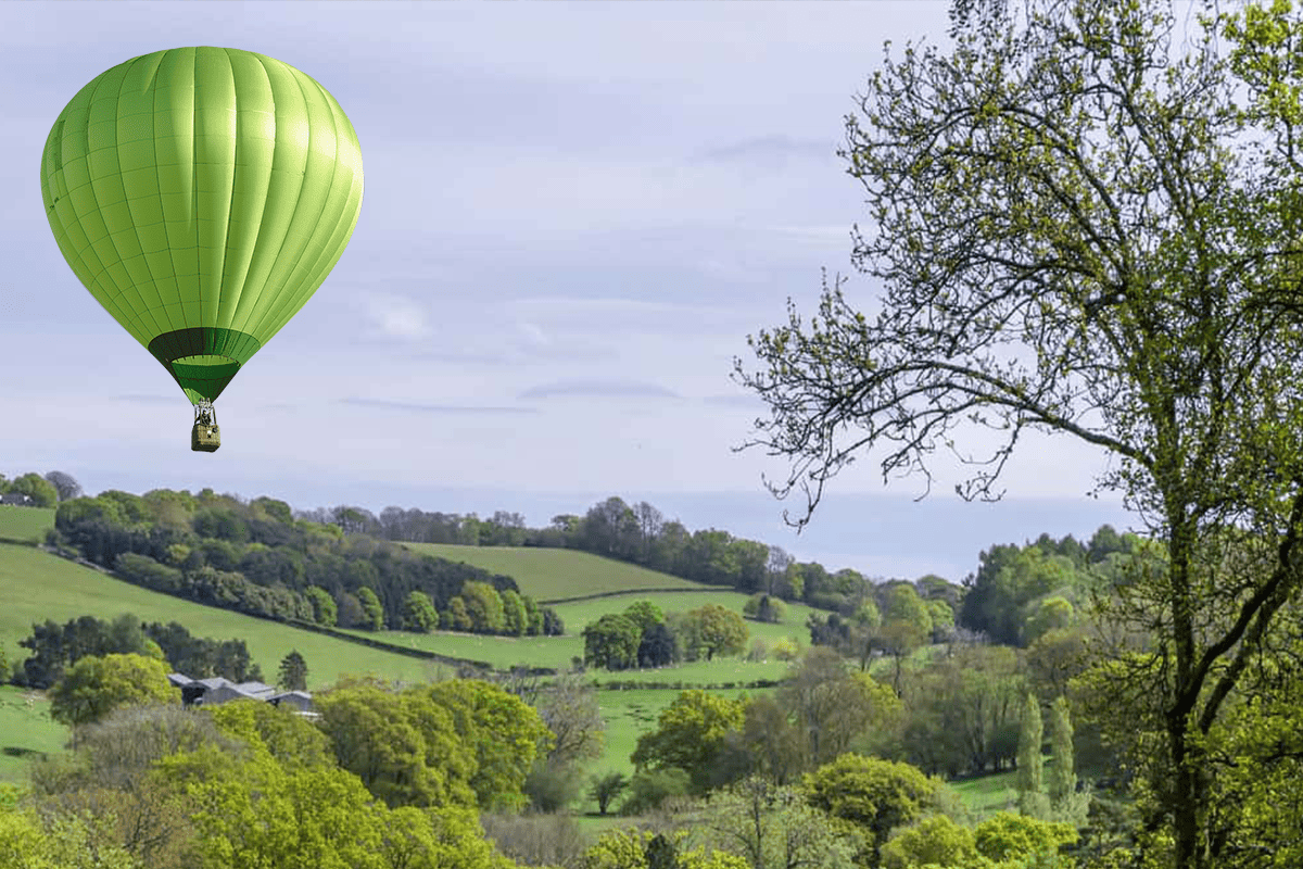 Surrey Hills SEO